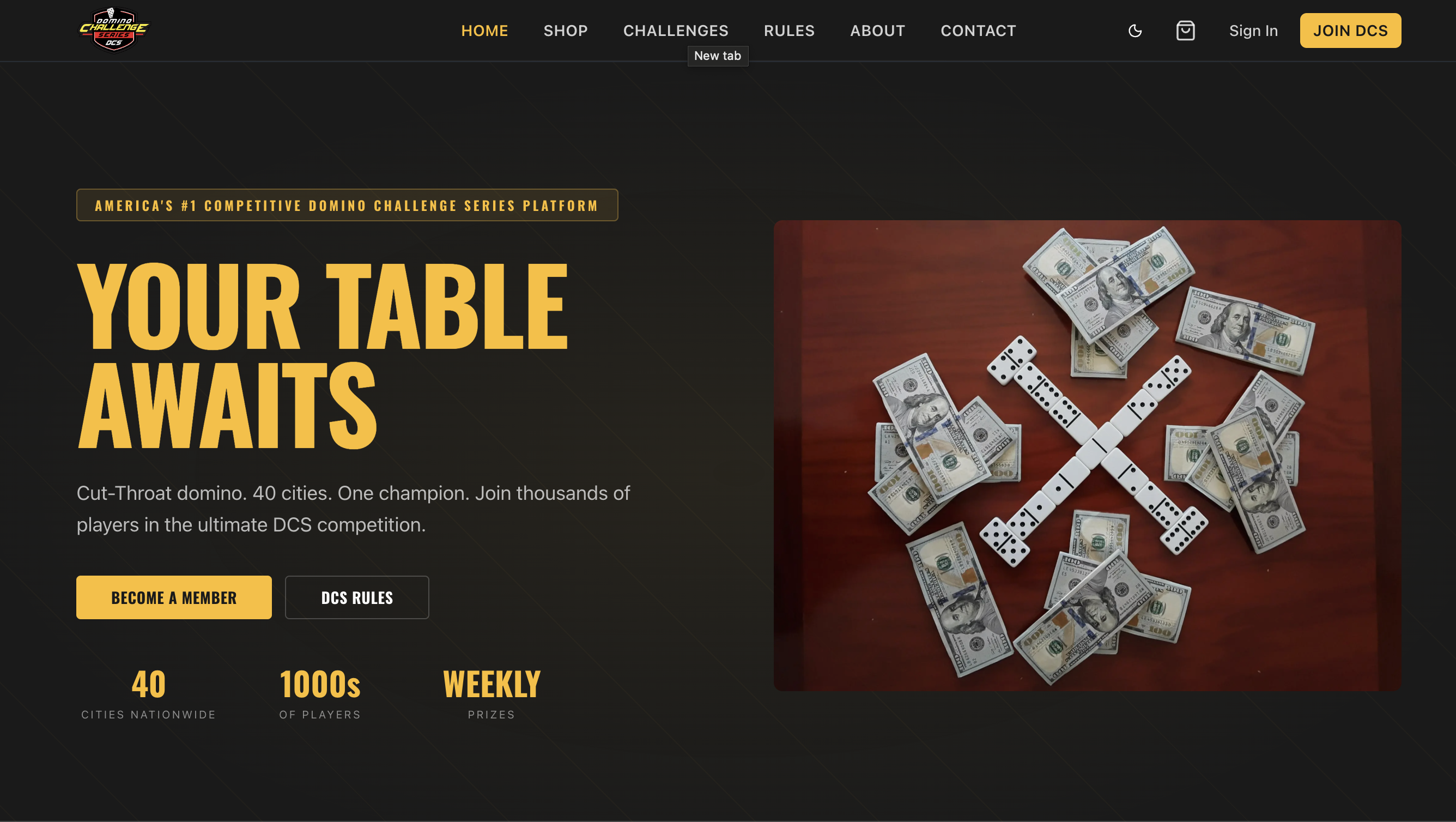 Domino Challenge Series screenshot 1